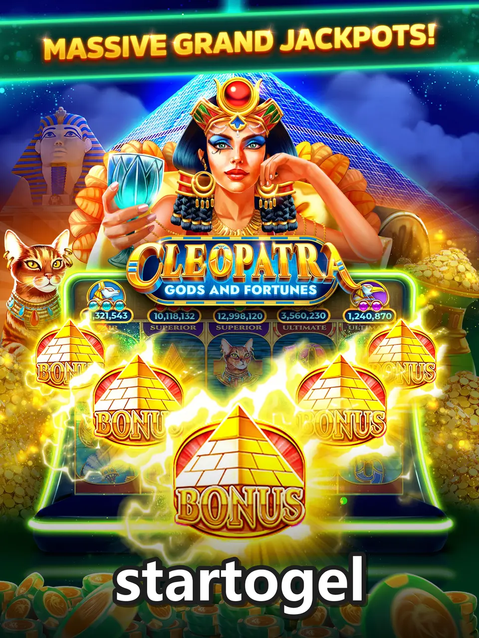 startogel screenshot