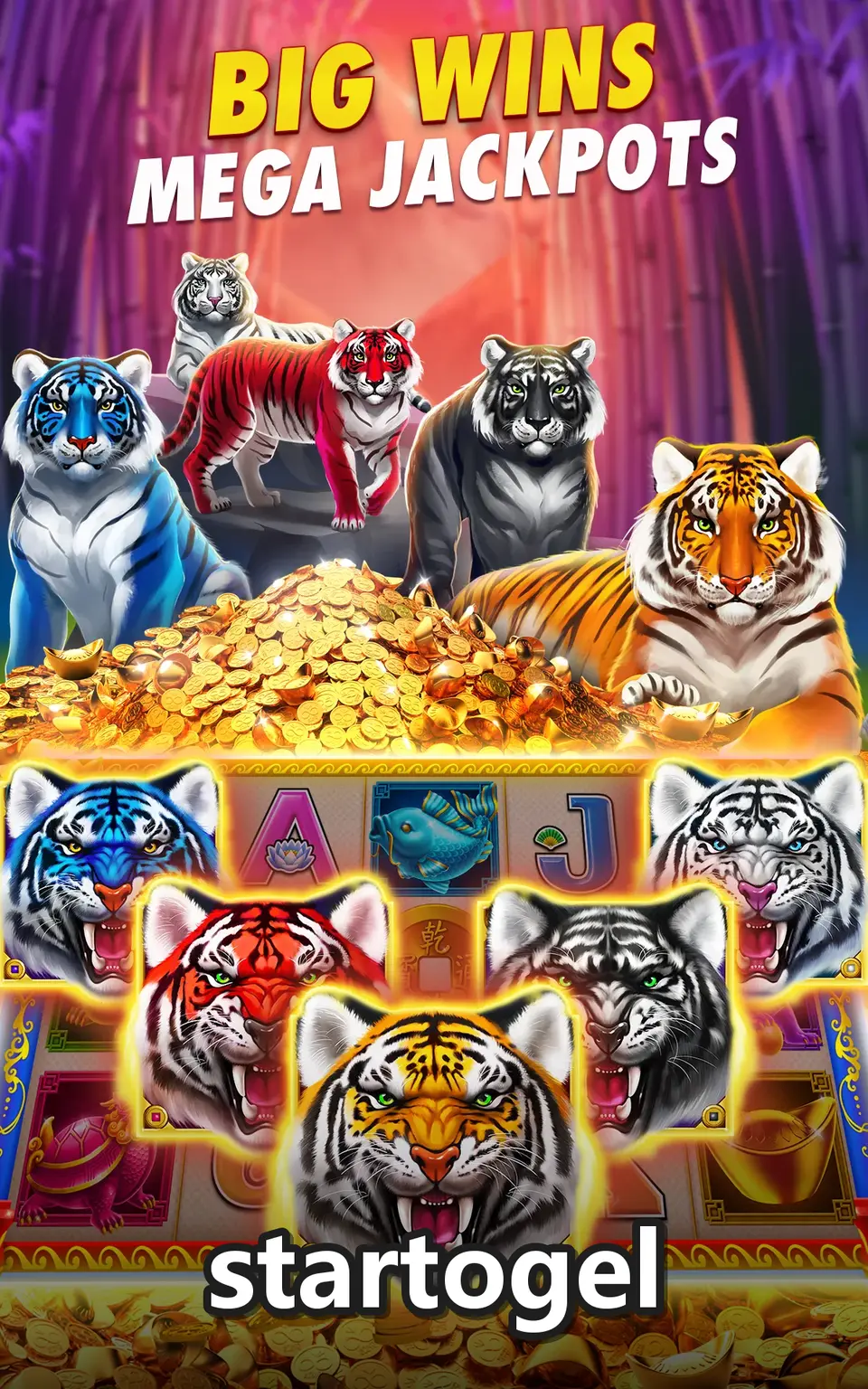 startogel screenshot